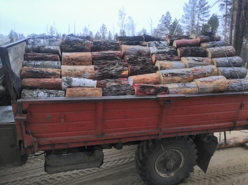 Минприроды Zабайкалья озвучило список лесничеств, где можно приобрести лесобилеты для заготовки дров 